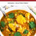 Red lentil cauliflower soup with cilantro in white bowl with spoon.