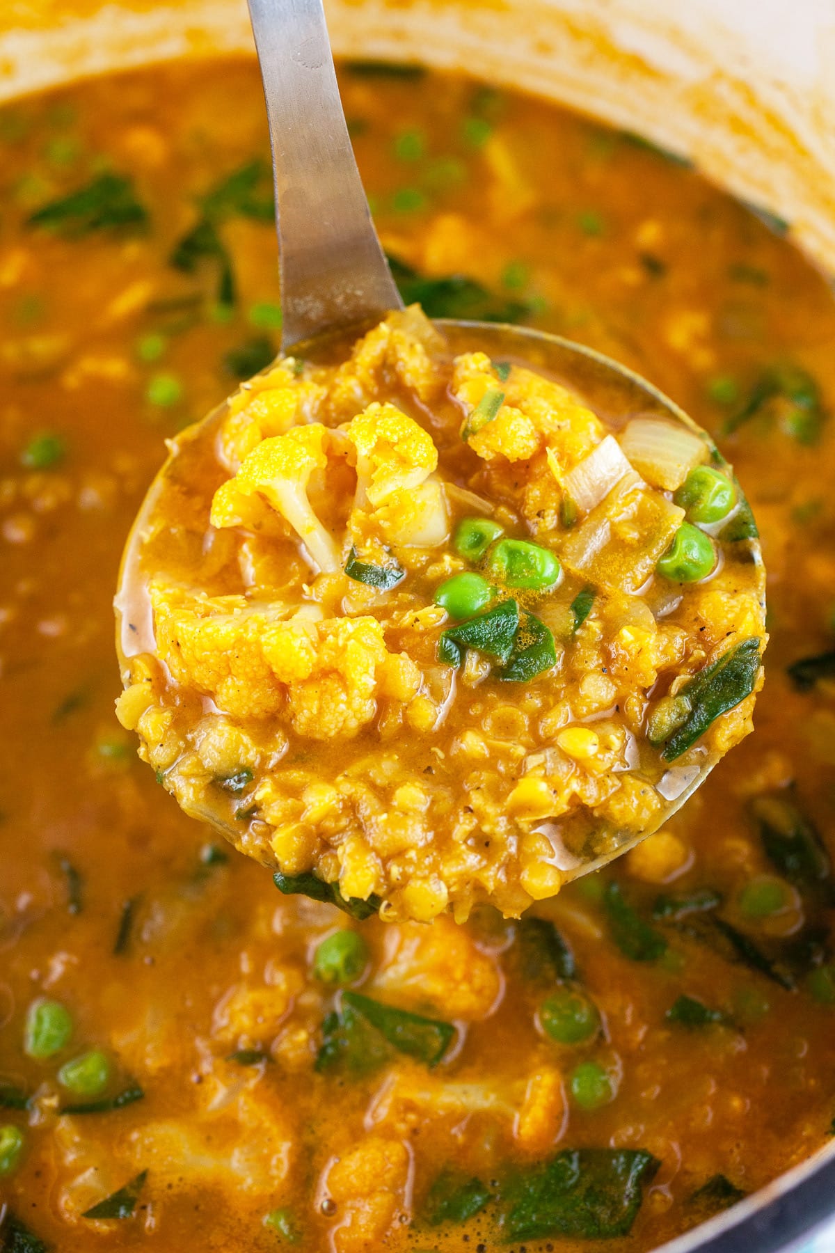 Scoop of red lentil cauliflower soup lifted from Dutch oven on metal ladle.