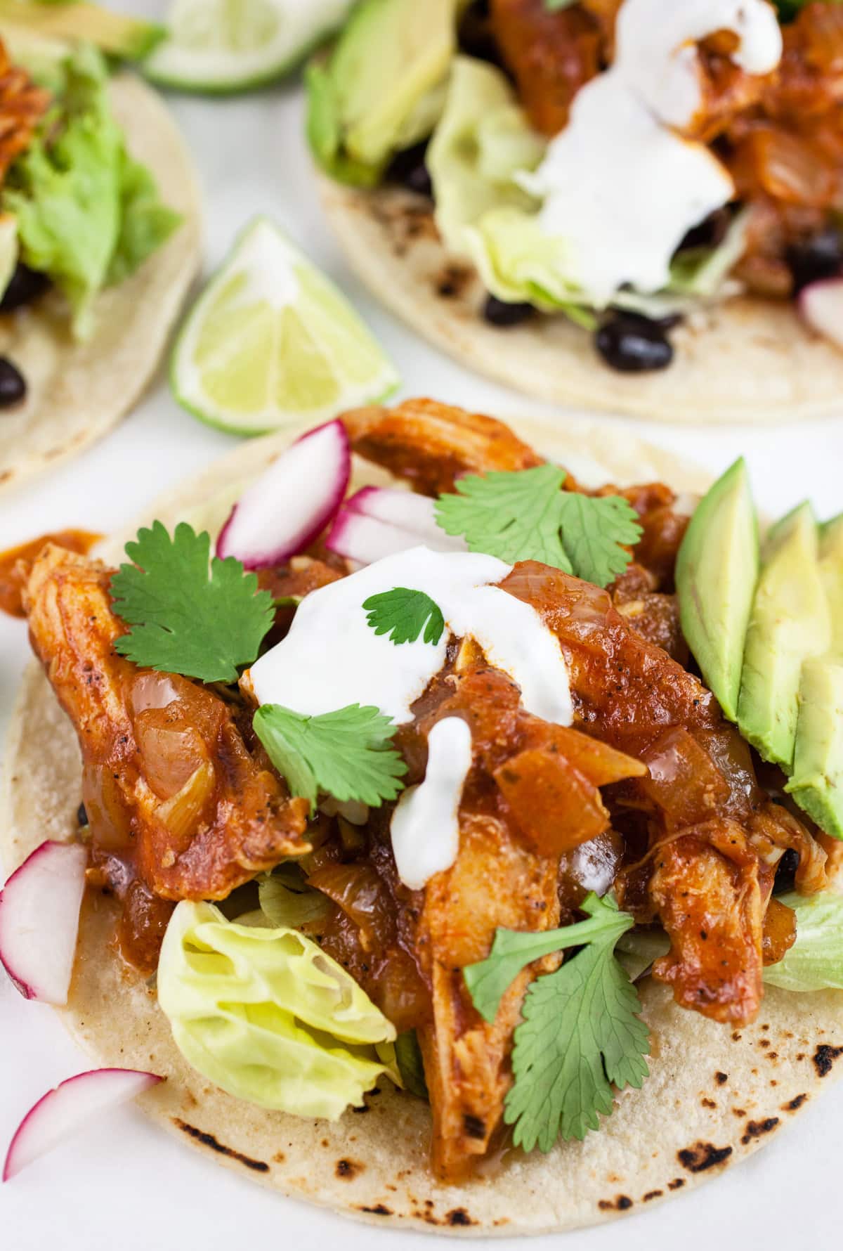 Shredded chipotle chicken tacos with lime crema, avocado, and cilantro on corn tortillas.