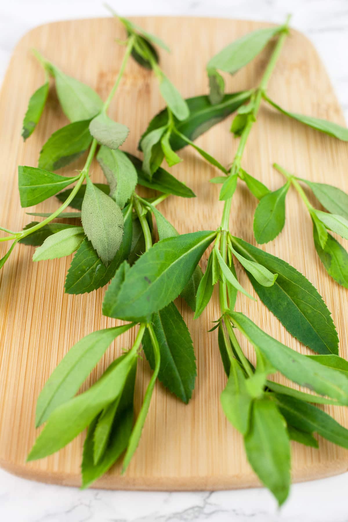 Fresh tarragon on wooden cutting board.