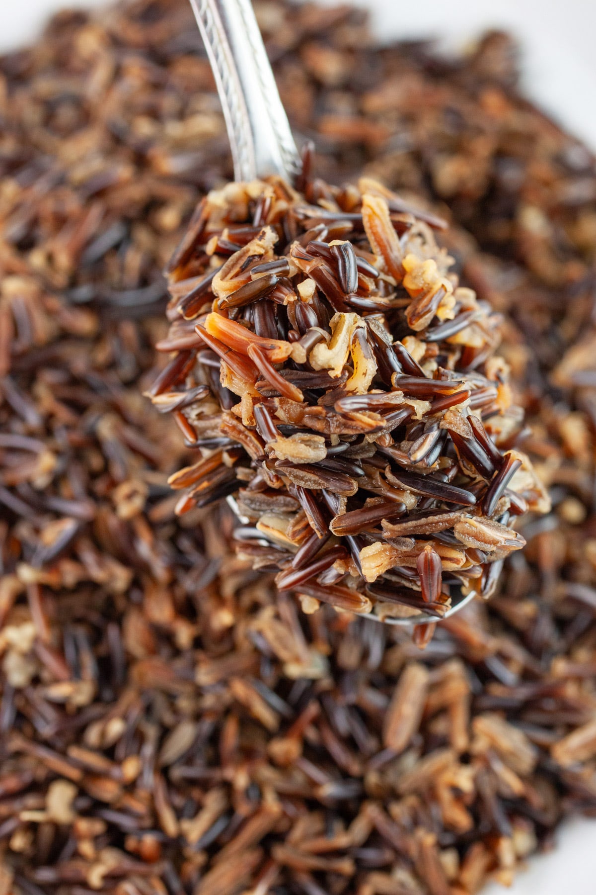 Scoop of cooked wild rice lifted from bowl with metal spoon.