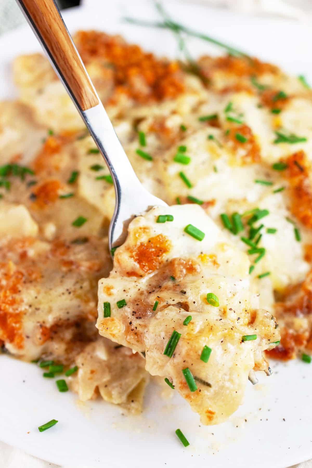Forkful of kohlrabi gratin lifted from white plate.