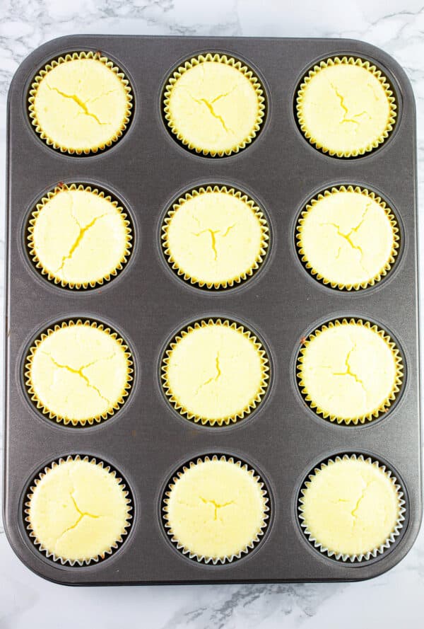 Baked cheesecake cups in muffin tin.
