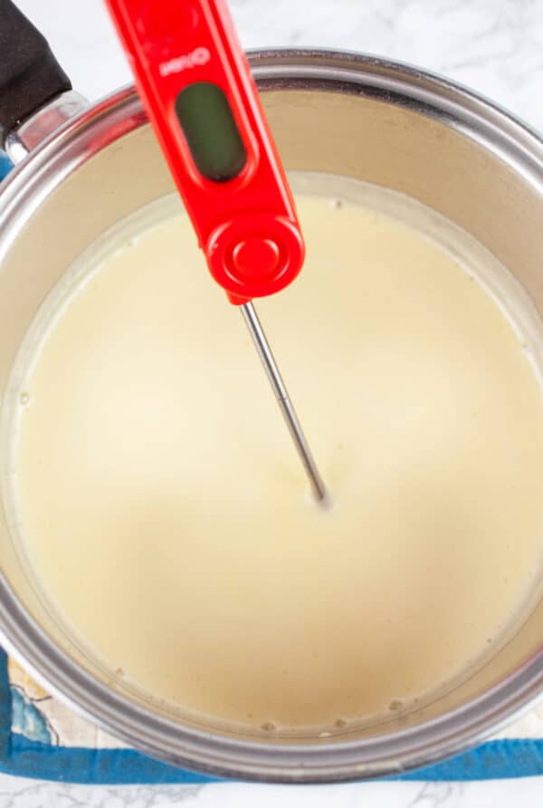 Cooked Tom and Jerry batter in sauce pan with food thermometer.