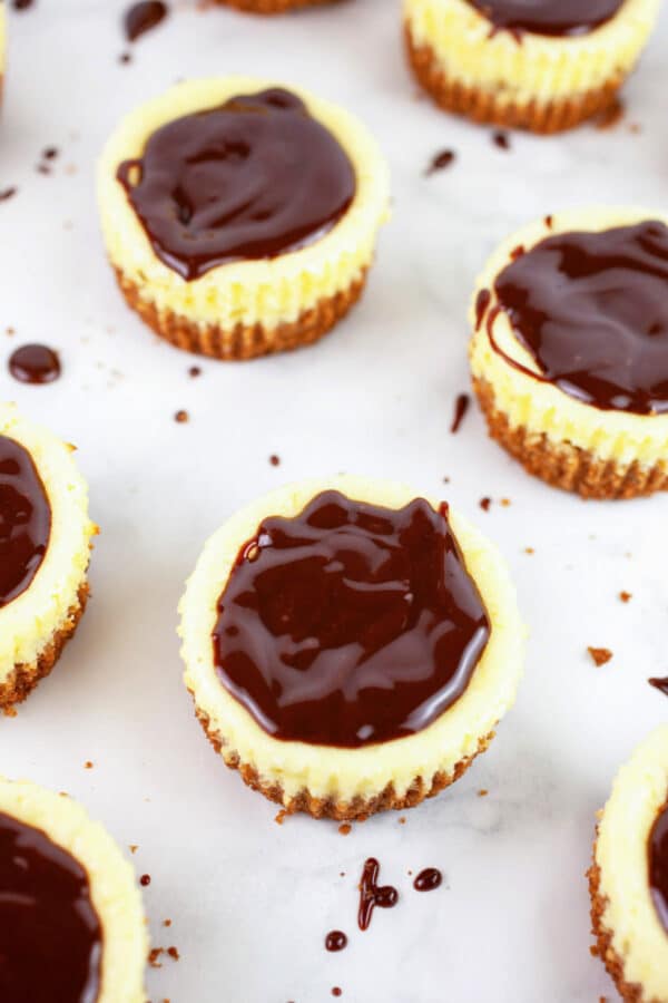 Cheesecake cups topped with chocolate ganache.