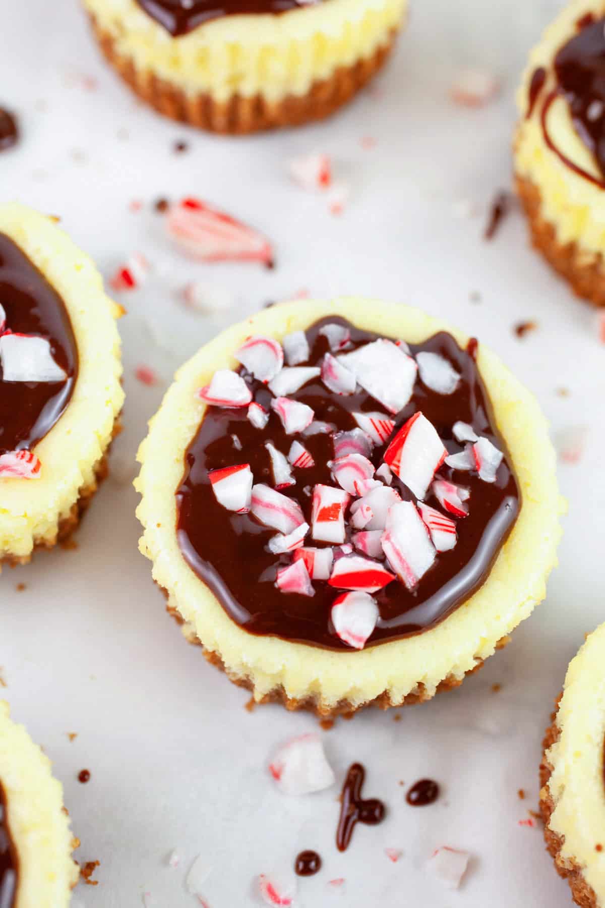 Peppermint cheesecake cups topped with chocolate ganache and crushed peppermint candies.