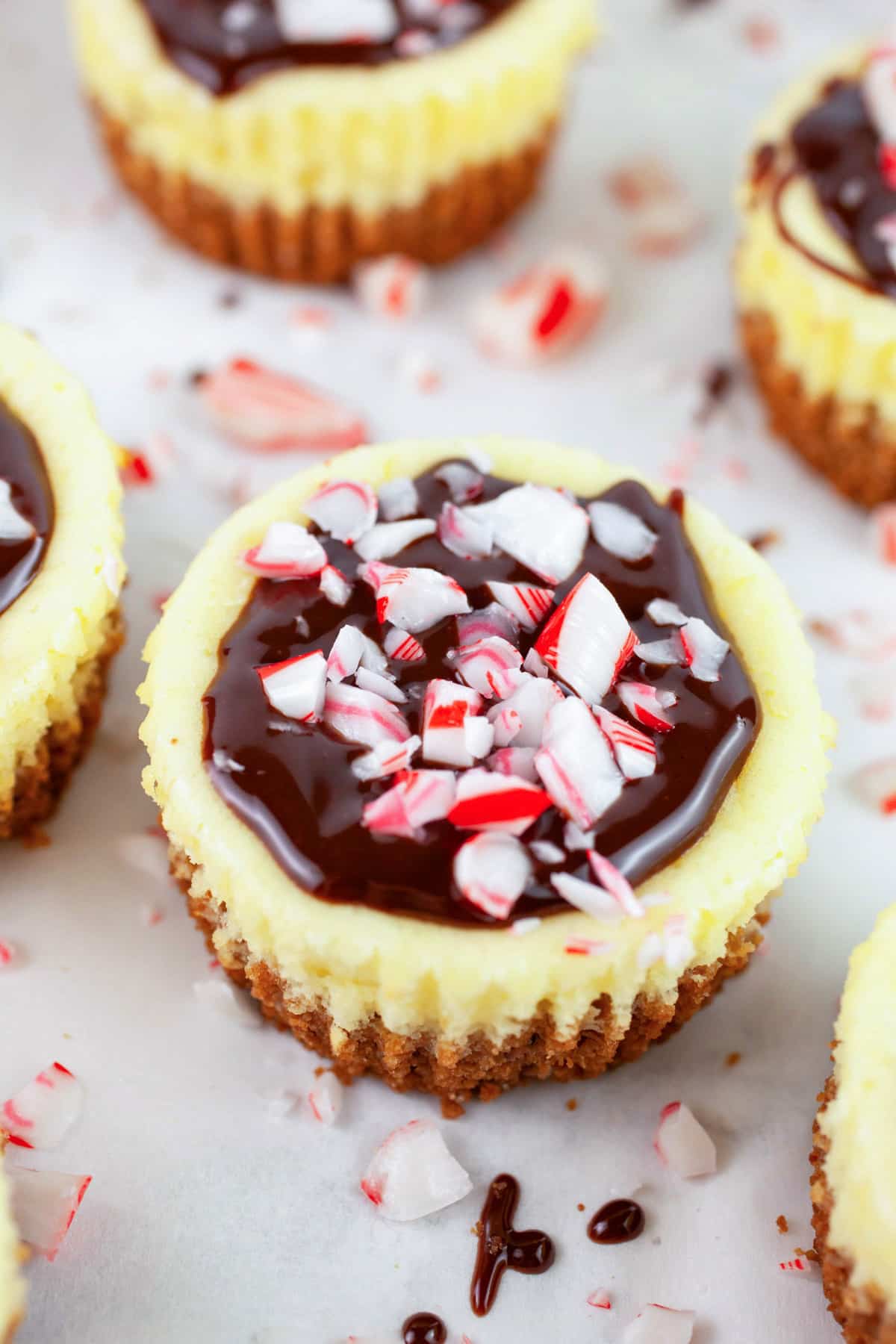 These Peppermint Chocolate Cheesecake Cups are easy to make and perfect for the holiday party season! A layer of graham crackers is topped with creamy cheesecake, chocolate ganache, and peppermint candy. This recipe is gluten free. Everyone will love these fun and festive bites! #cheesecake #peppermint #chocolate #glutenfree #christmas Peppermint cheesecake cups topped with chocolate ganache and crushed candy canes.