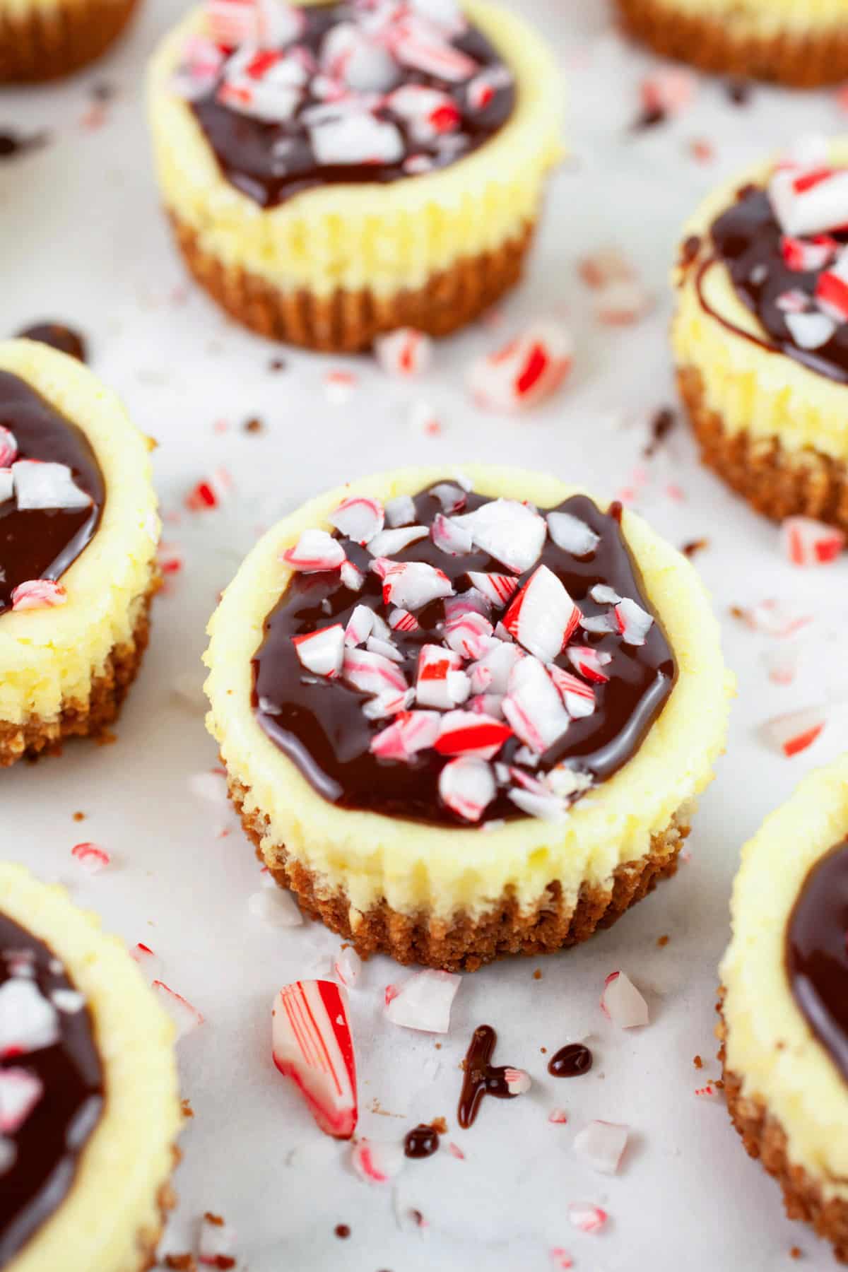 Peppermint cheesecake cups garnished with chocolate ganache and crushed peppermint candies.