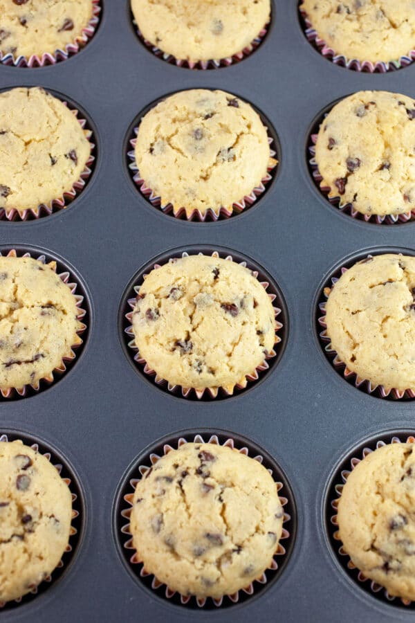 Baked chocolate chip cupcakes in muffin tin.