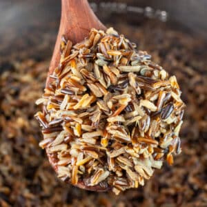 Cooked wild rice lifted from Instant Pot on wooden spoon.
