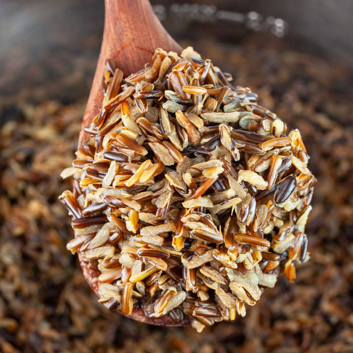 Instant Pot Wild Rice | The Rustic Foodie®