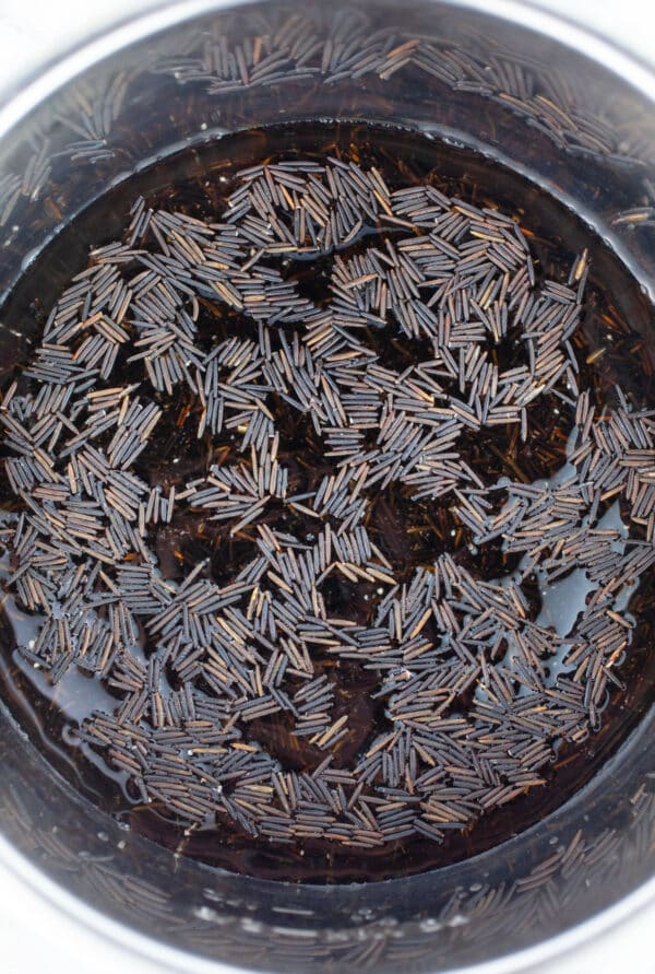 Uncooked wild rice and water in Instant Pot.