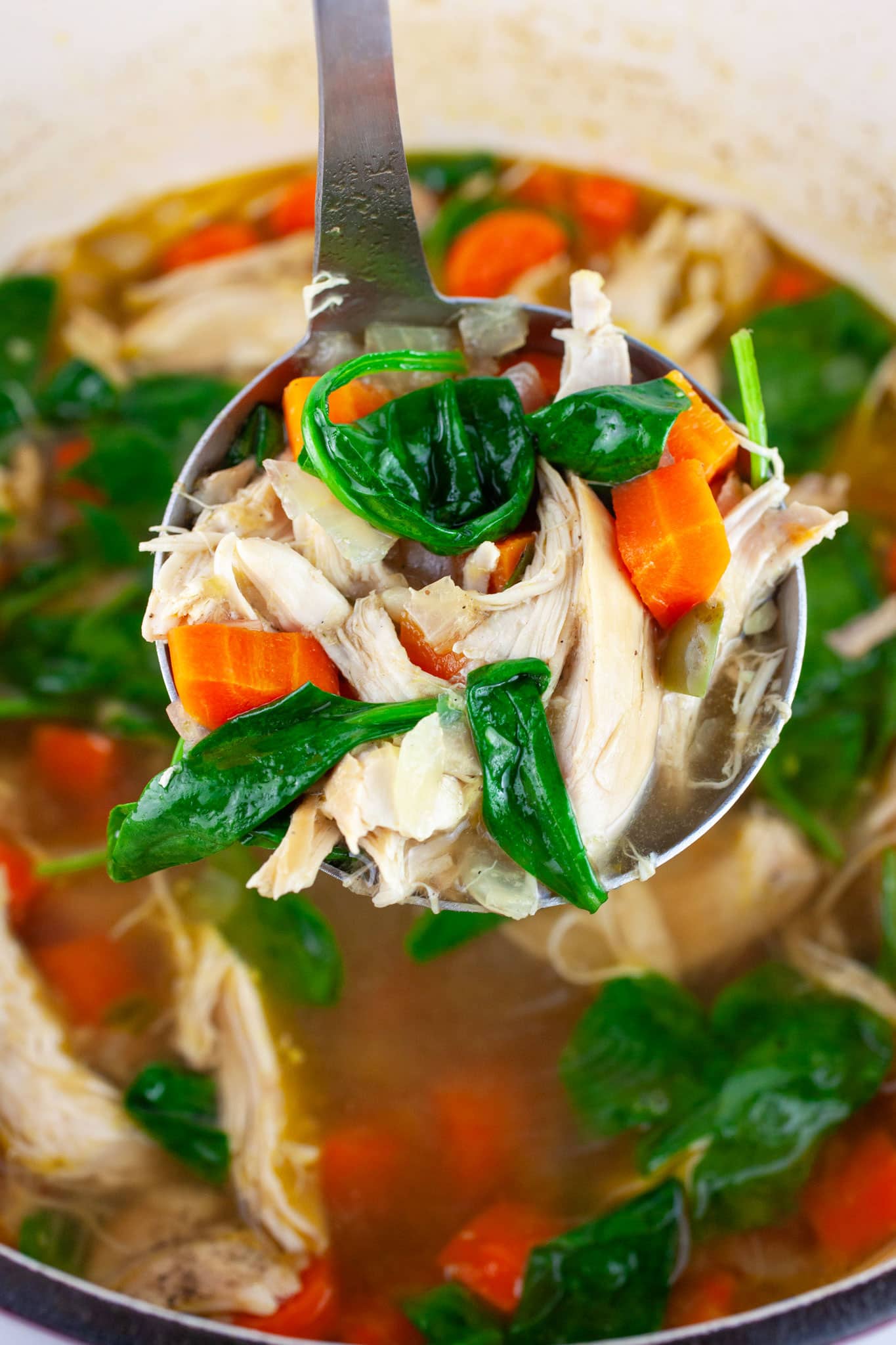 Scoop of Asian chicken soup lifted from Dutch oven with metal ladle.
