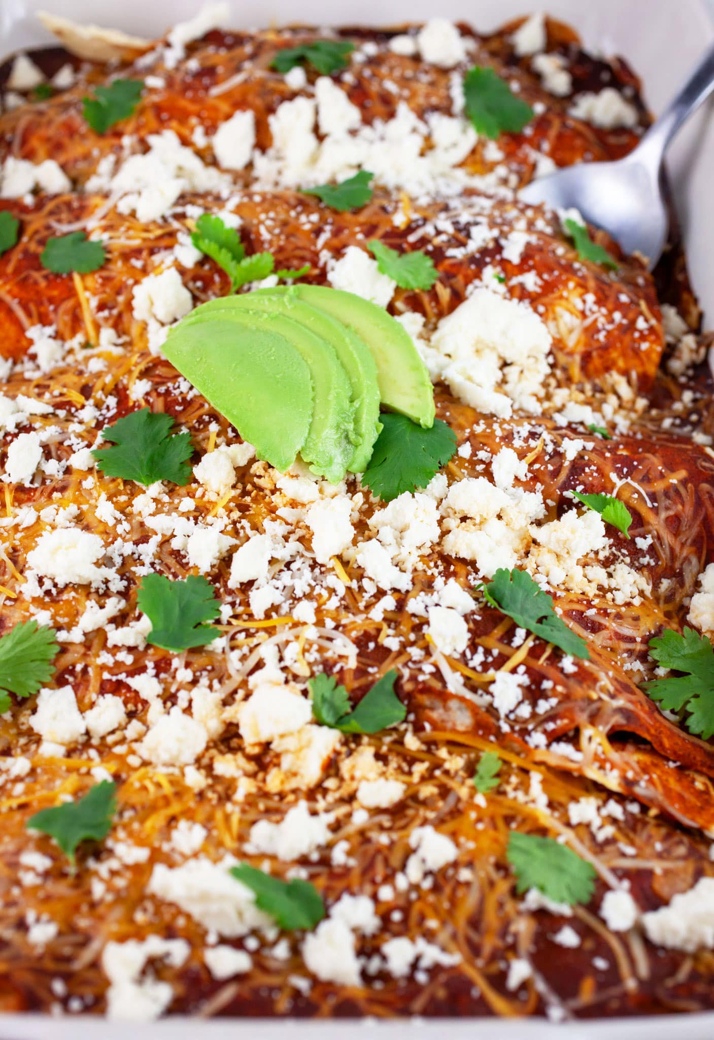 Baked red enchiladas in casserole dish garnished with cilantro, Queso fresco, and sliced avocadoes.