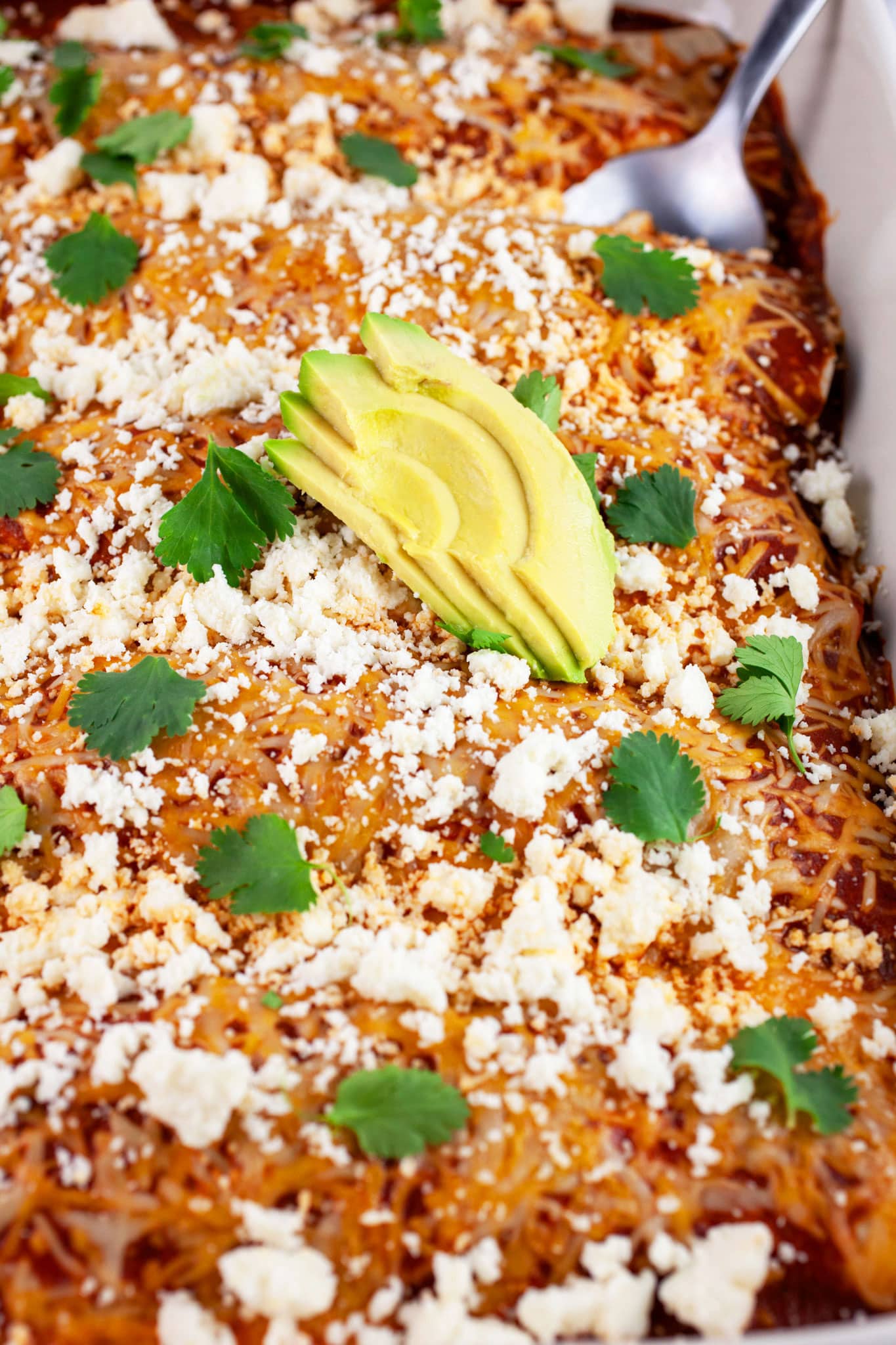 Baked red enchiladas in casserole dish garnished with cilantro, Queso fresco, and sliced avocadoes.