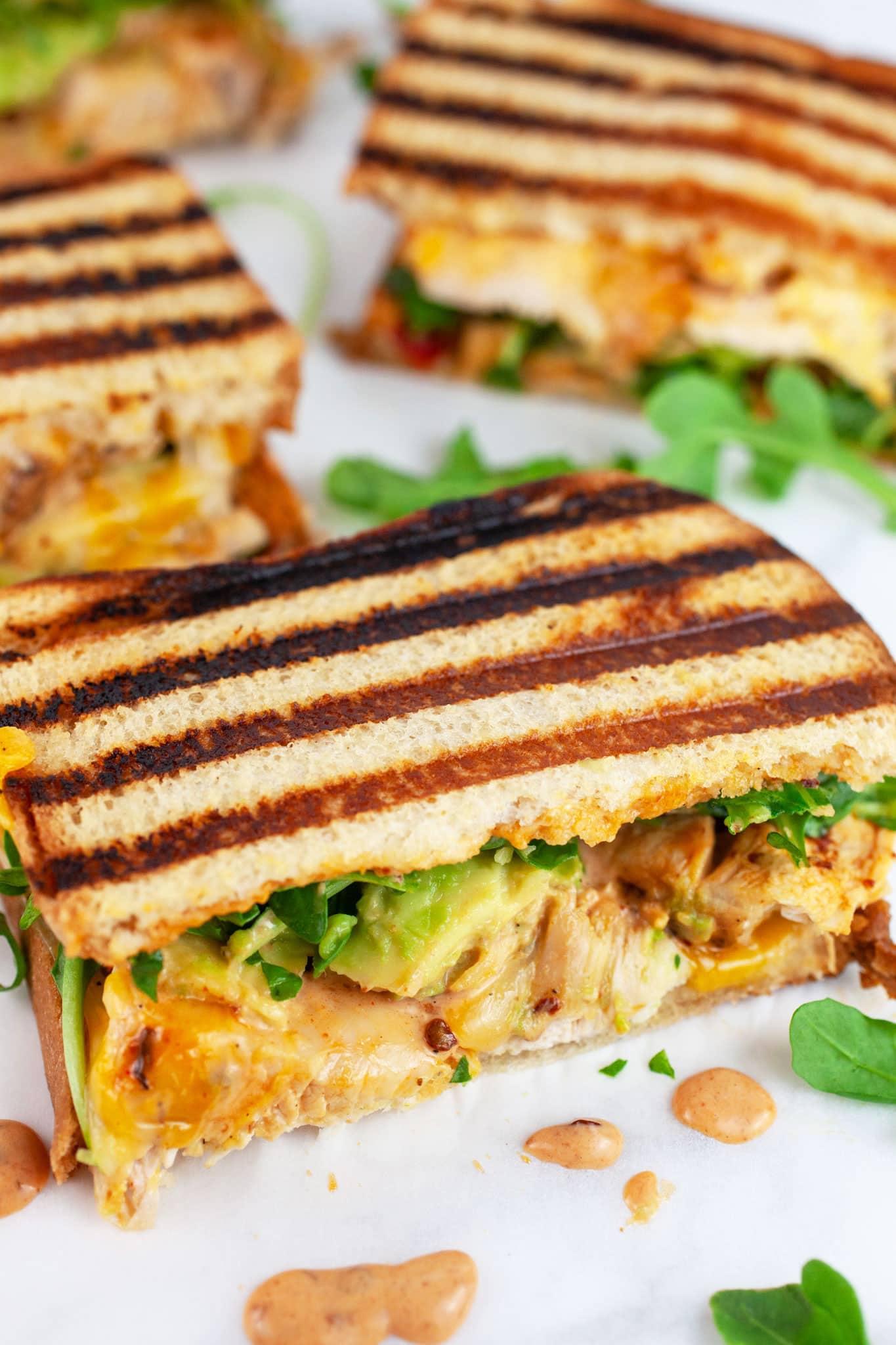 Chipotle chicken panini sandwiches cut into halves.