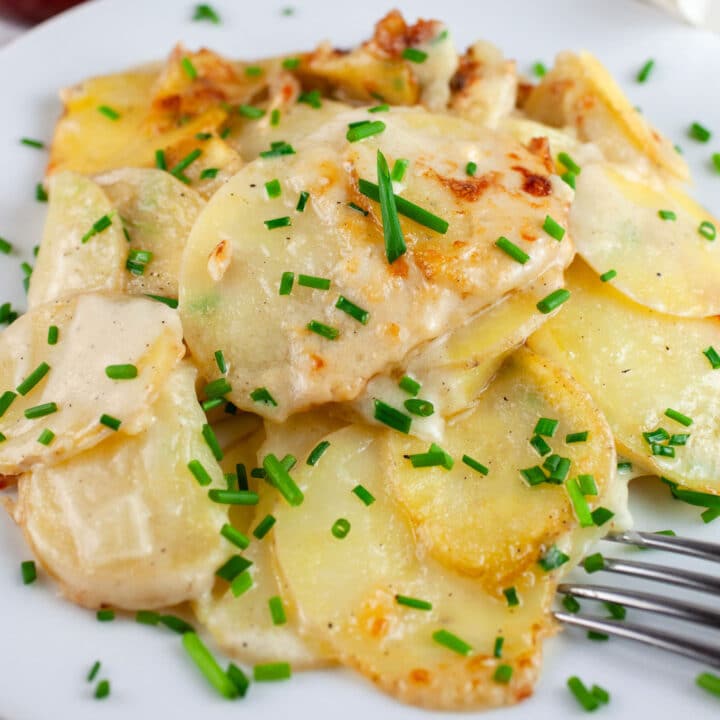 Gluten free Au Gratin potatoes garnished with minced chives on white plate with fork.