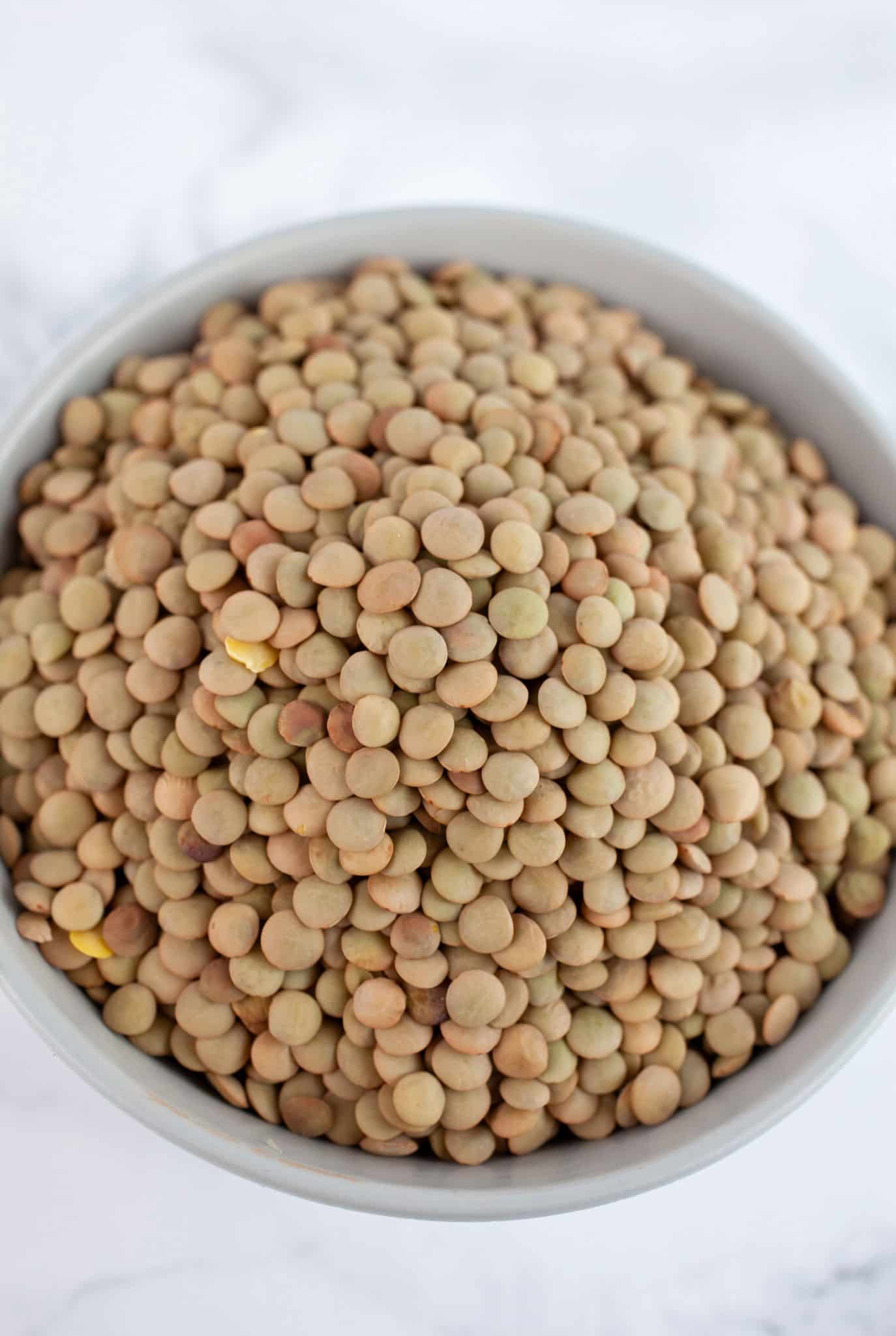 Dried brown lentils in small grey bowl on white surface.